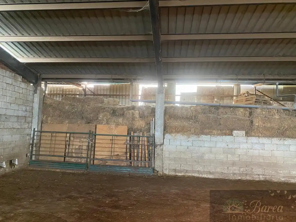 Nave industrial en venta en Rute