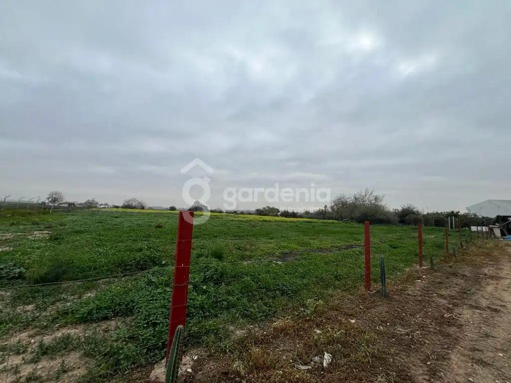 Terrenys i solars en venda a Sus-Dmn-04 Aeropuerto Vij, imagen 8