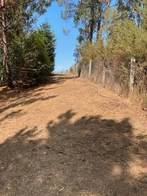 Casa o xalet en venda en Carballo amb Terrassa i Forn