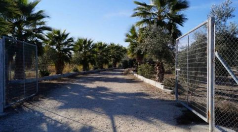 CHALET,  30,000 M2  DOS NAVES, 2 FANEGAS DE OLIVOS CON 2 POZOS., imagen 4