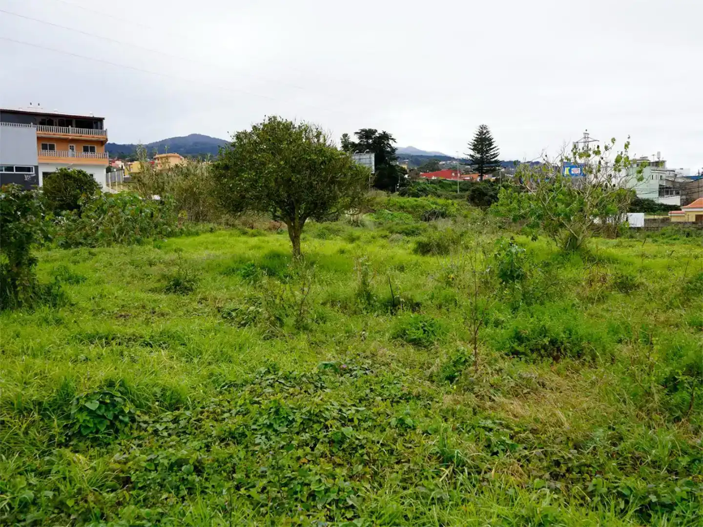 Industrial land for sale in Tacoronte