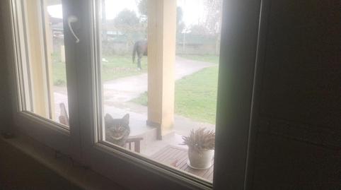 Foto 3 de Finca rústica en venta en Lugar Seivane, Parroquias del Este, Lugo Capital