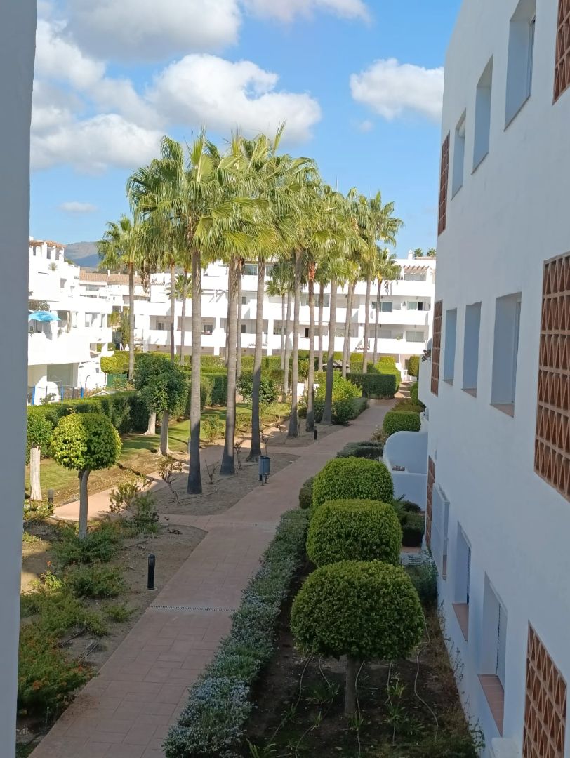 Exterior view of Flat to rent in Estepona