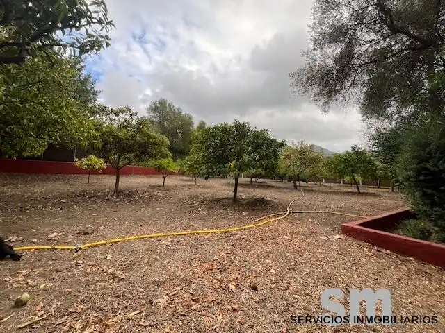 Terreno rustico in vendita a Ubrique, imagen 20