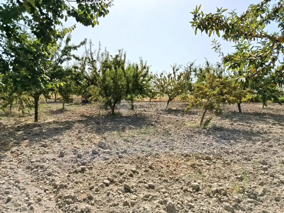 Wohnbaugrundstück zum Verkauf in Gójar, imagen 14