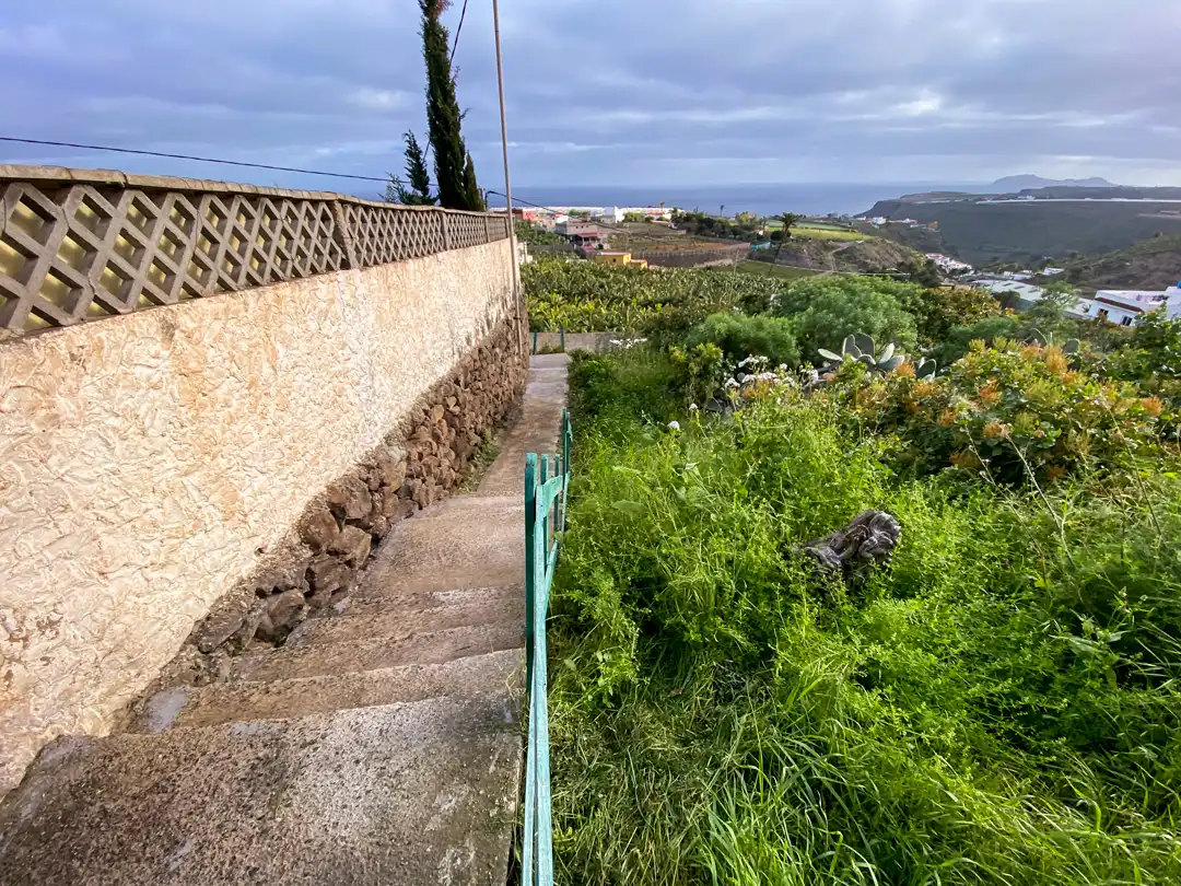 Vista exterior de Finca rústica en venta en Moya (Las Palmas)