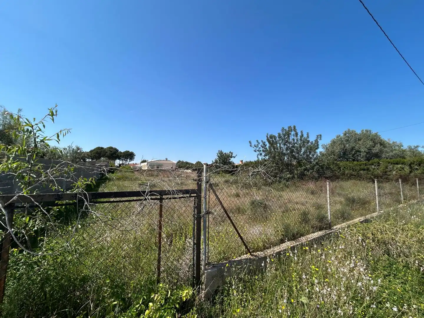 Terreno residenziale in vendita a La Conarda - Montesano, imagen 5