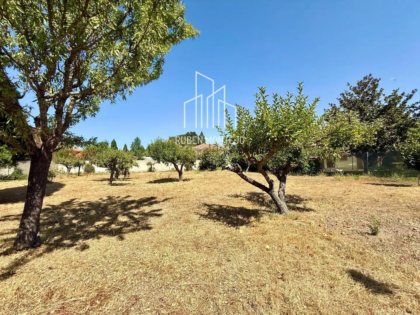 Rural land for sale in Cañaveral, imagen 4