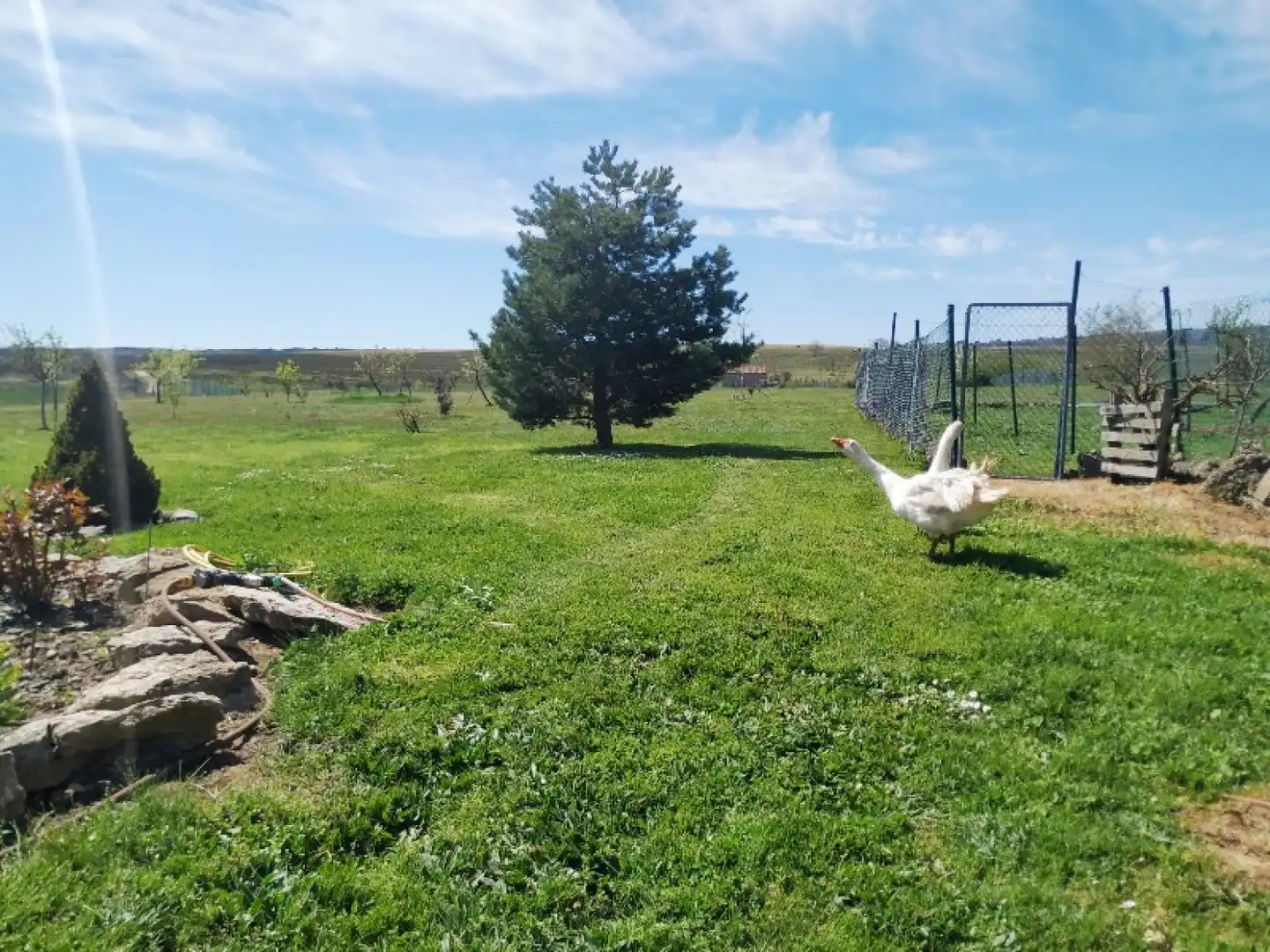 Jardí de Casa o xalet en venda en Valle de Valdelucio amb Calefacció, Jardí privat i Parquet