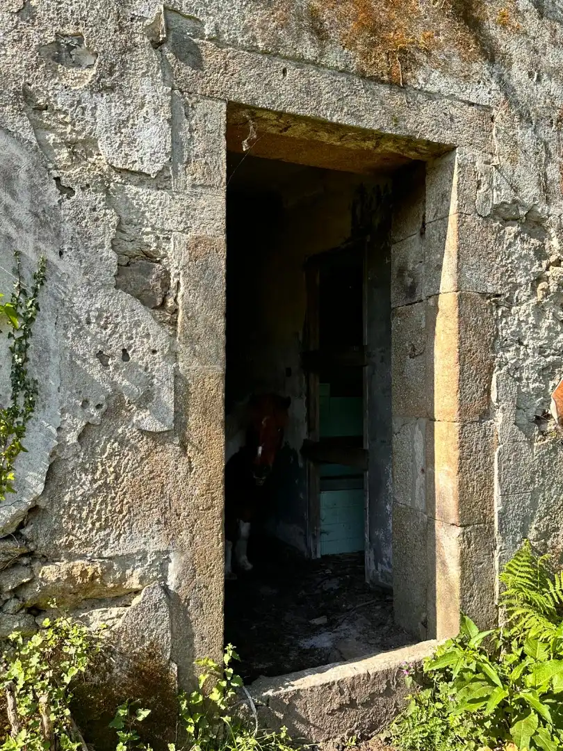 Casa o xalet en venda a Rúa Argimiro González Neira, 7, Vedra