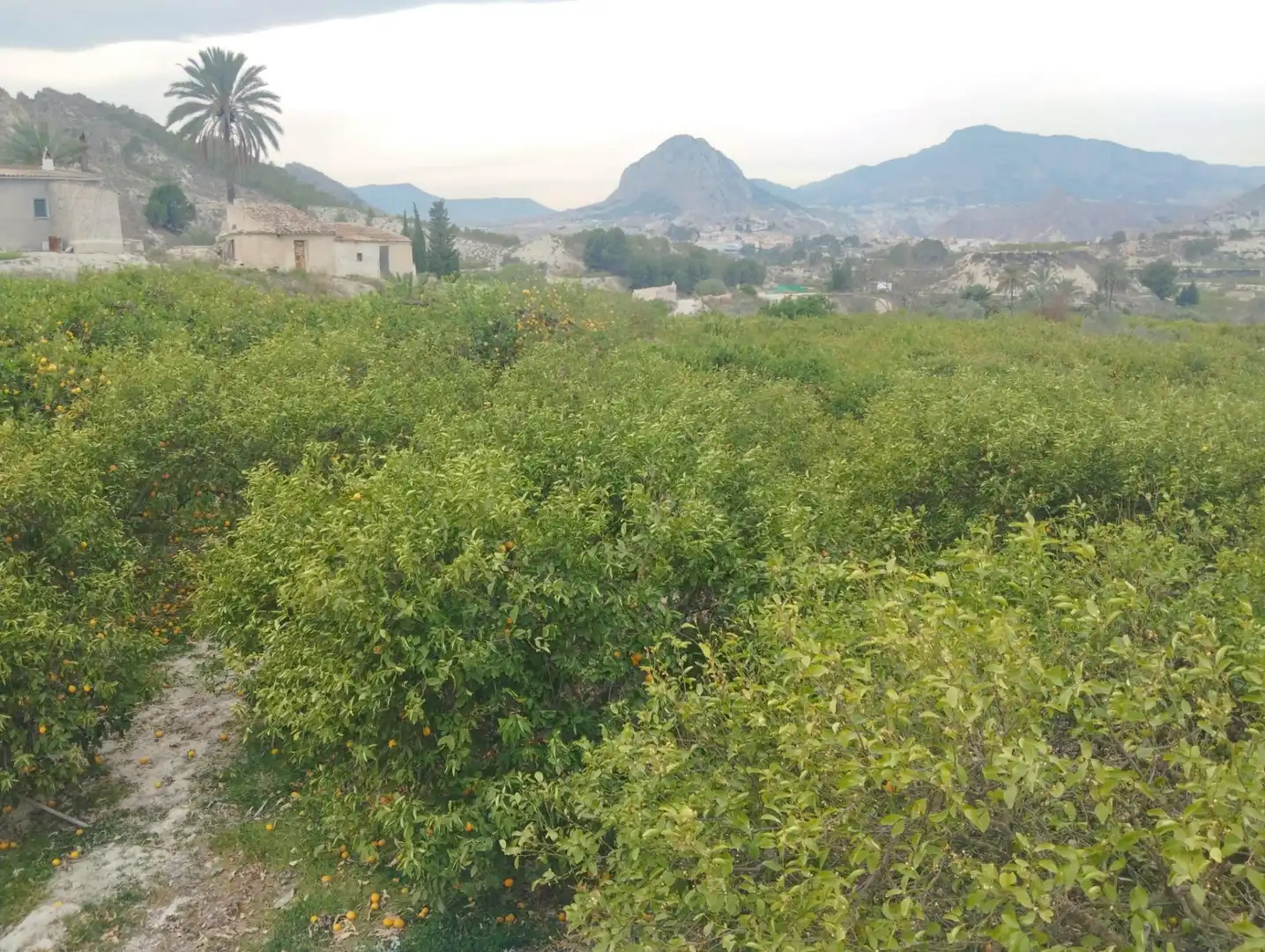 Terreno en venta en Ulea