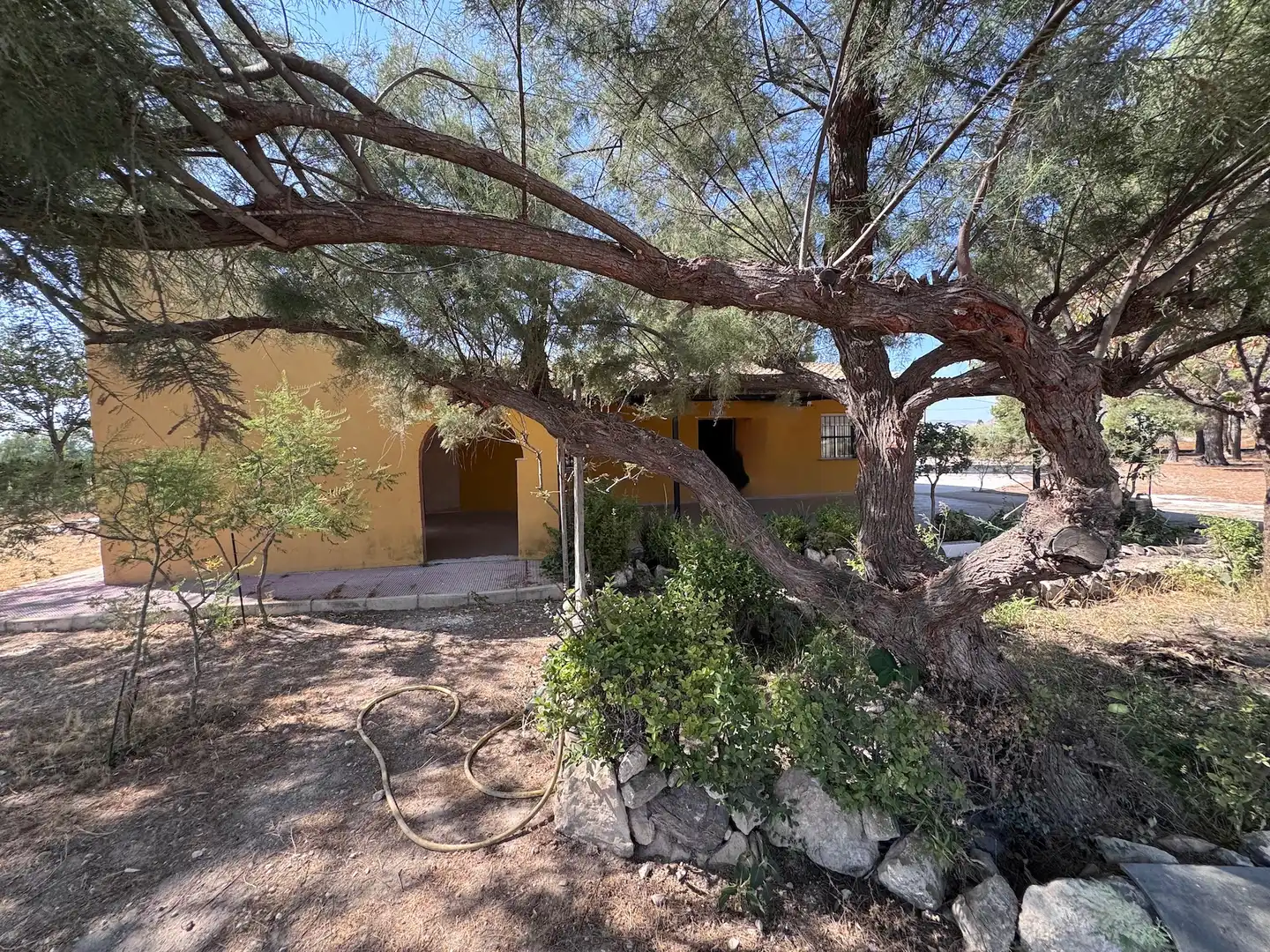 Casa rústica amb jardí en venda a Las Tiesas, imagen 27