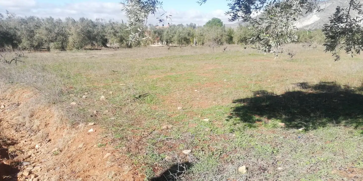 Casa rústica en venda a Marchena 1, imagen 3