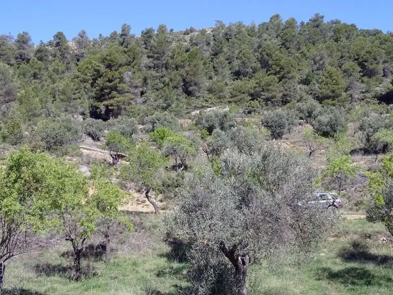 Finca rústica en venta en Beceite