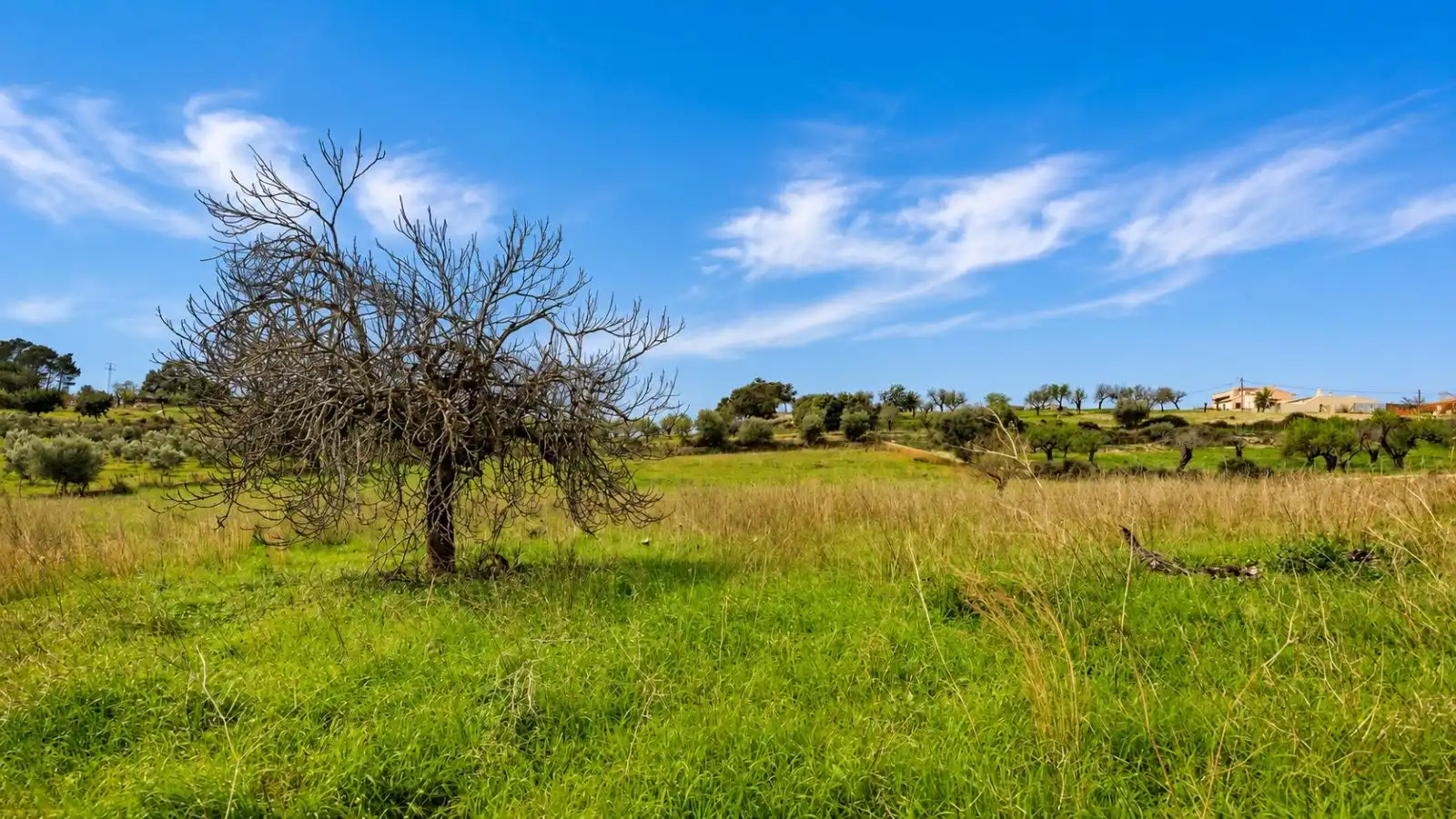 Residential for sale in Selva