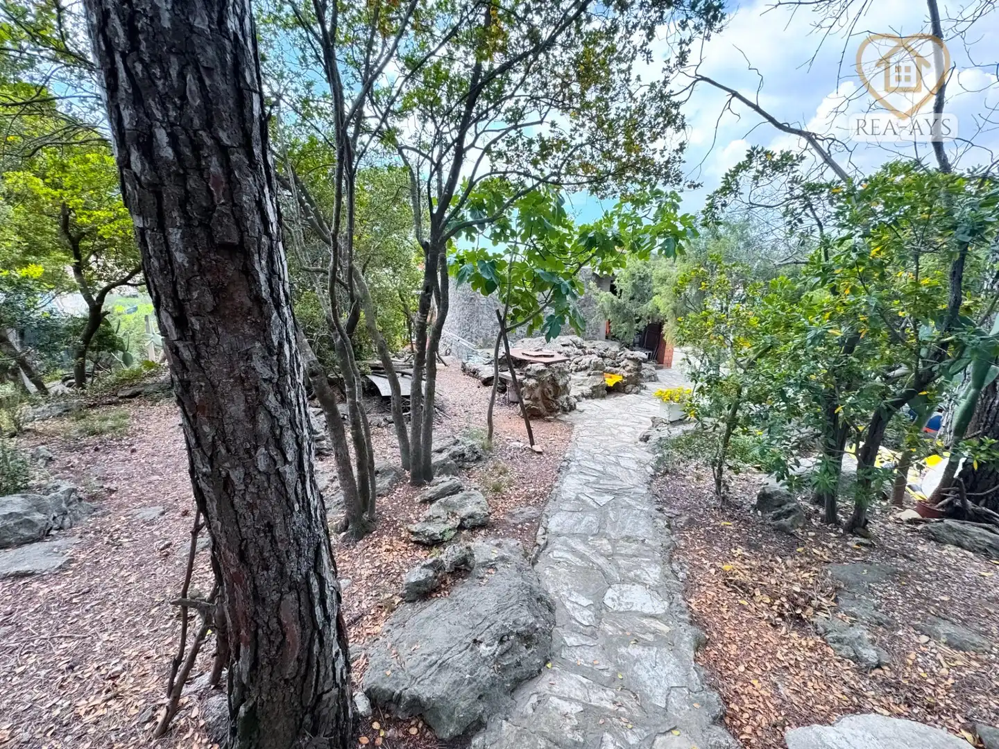 Jardín de Casa o chalet en venta en Vallirana con Calefacción, Jardín privado y Terraza