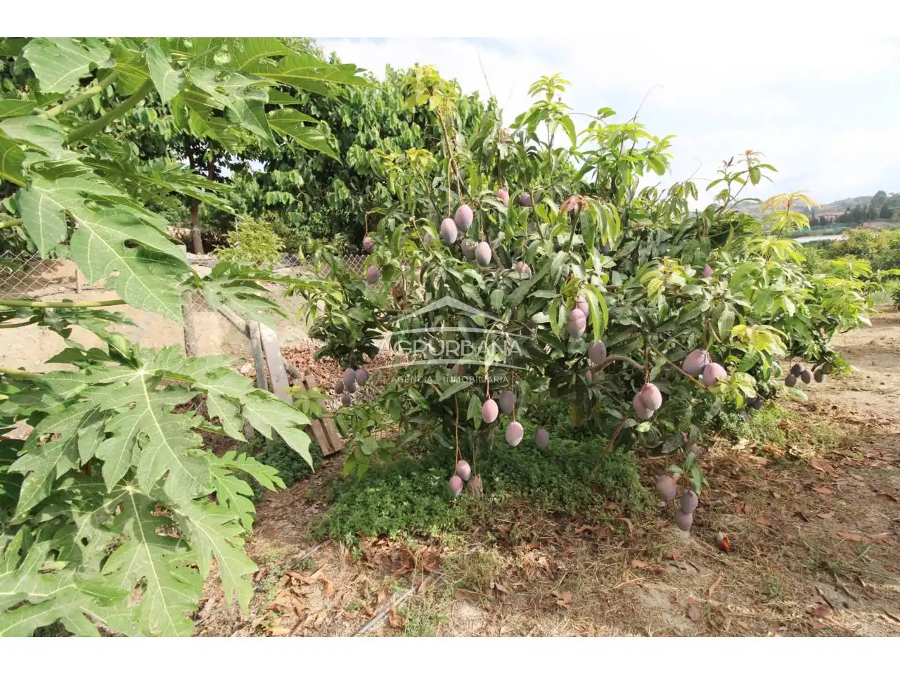 Country house with pool for sale in Poligono 29, imagen 23