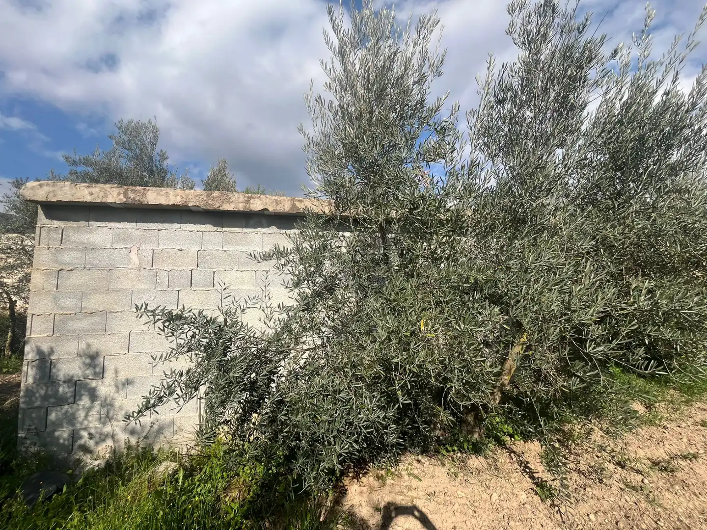 Land for sale in Dúrcal