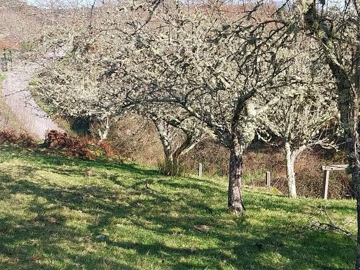 Jardí de Finca rústica en venda en Ponte Caldelas amb Balcó