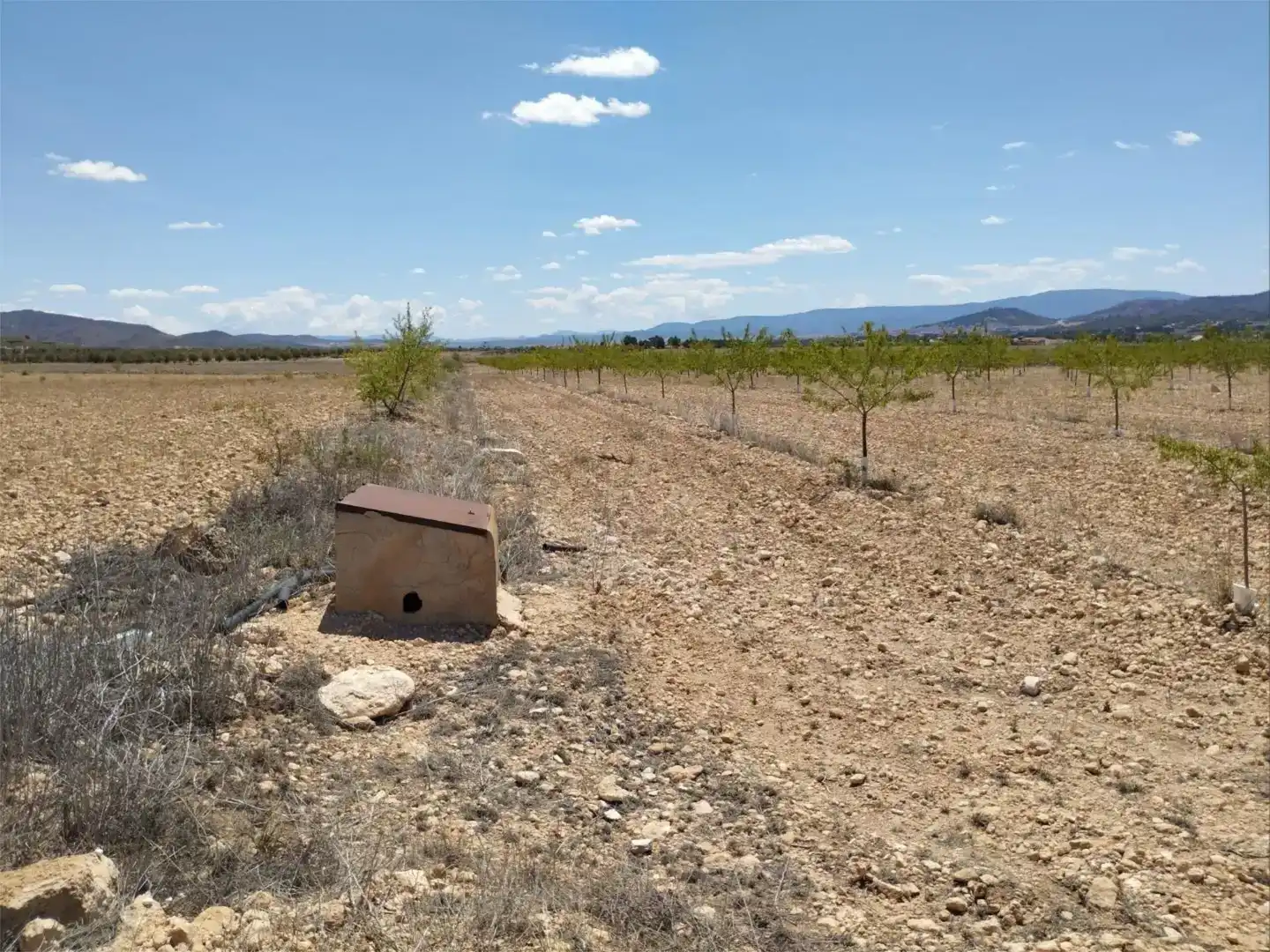 Terreno en venta en Montealegre del Castillo, Albacete