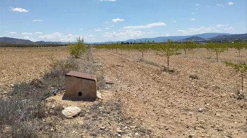 Foto 4 de Terreny en venda a Carretera Yecla, 5, Montealegre del Castillo, Albacete