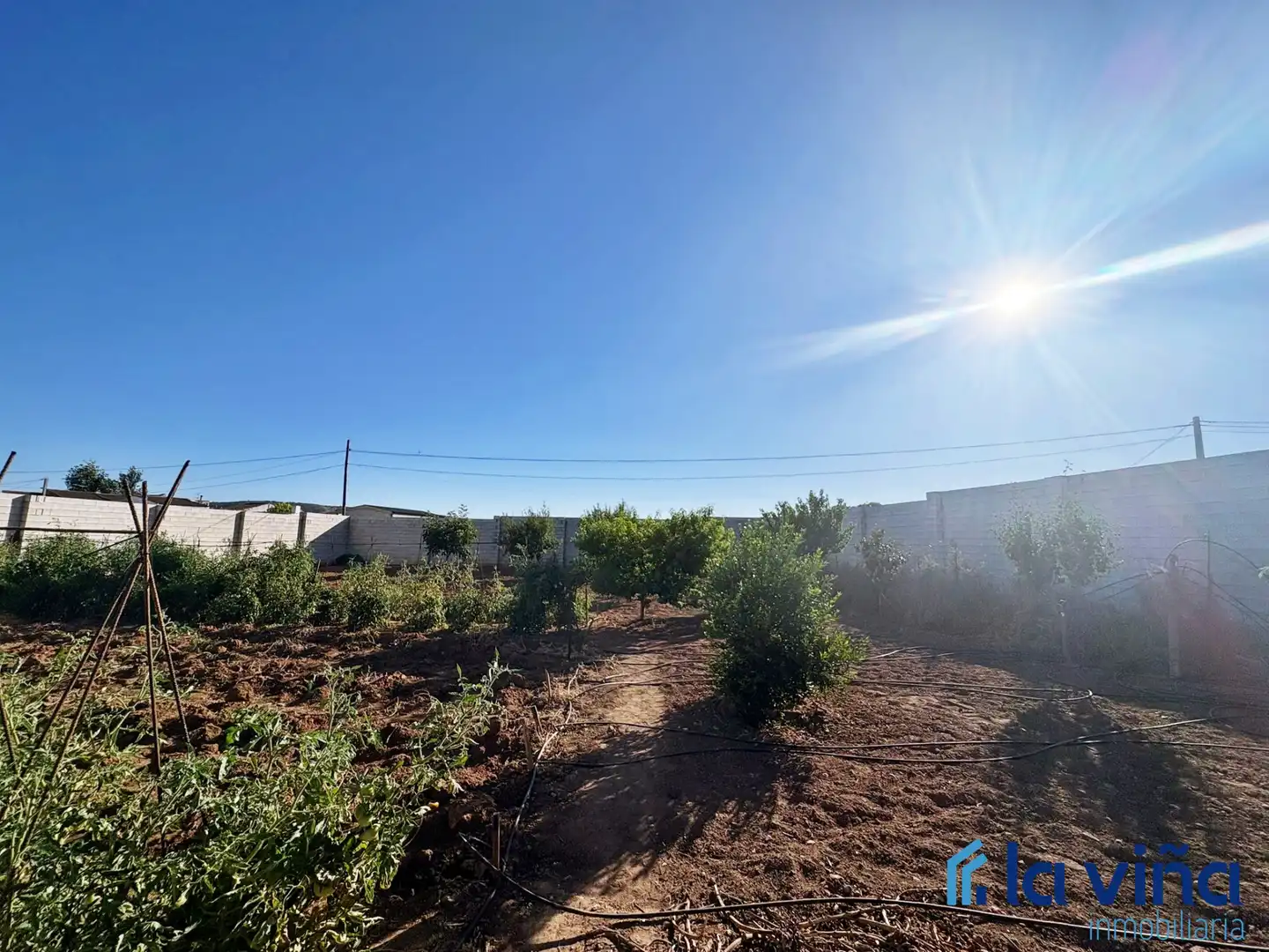 Rural land for sale in Mollina, imagen 7