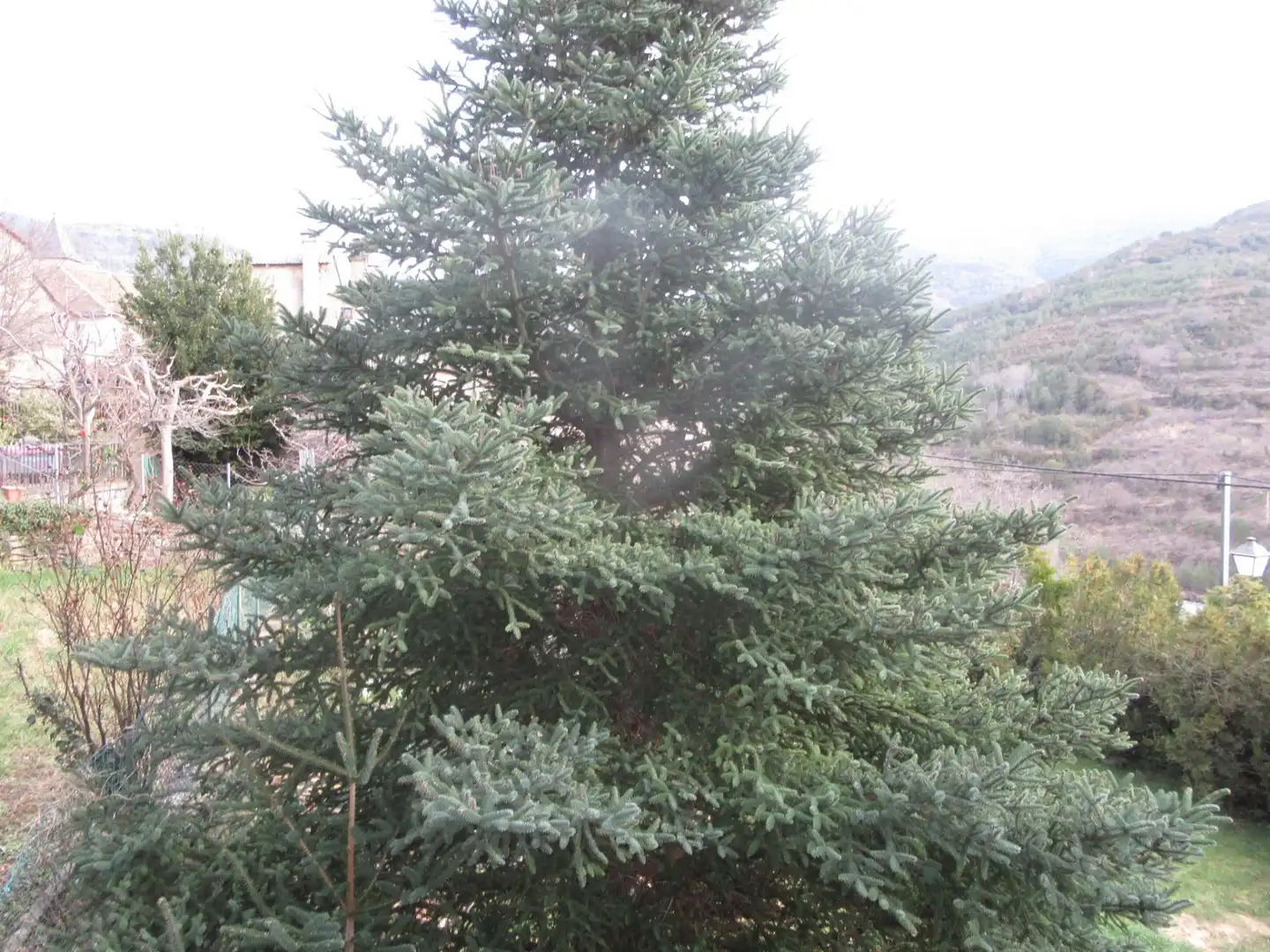Jardín de Casa o chalet en venta en Aragüés del Puerto