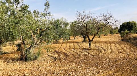 Foto 2 von Country house zum Verkauf in Biar, Alicante