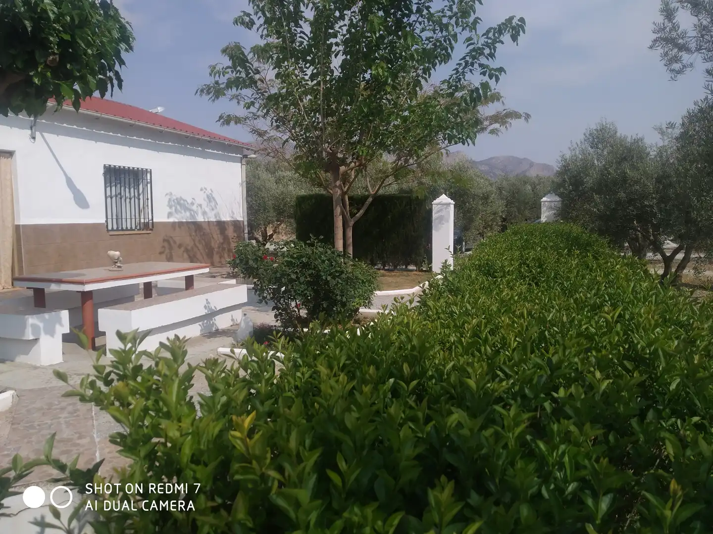 Xalet en venda a Baza, imagen 3