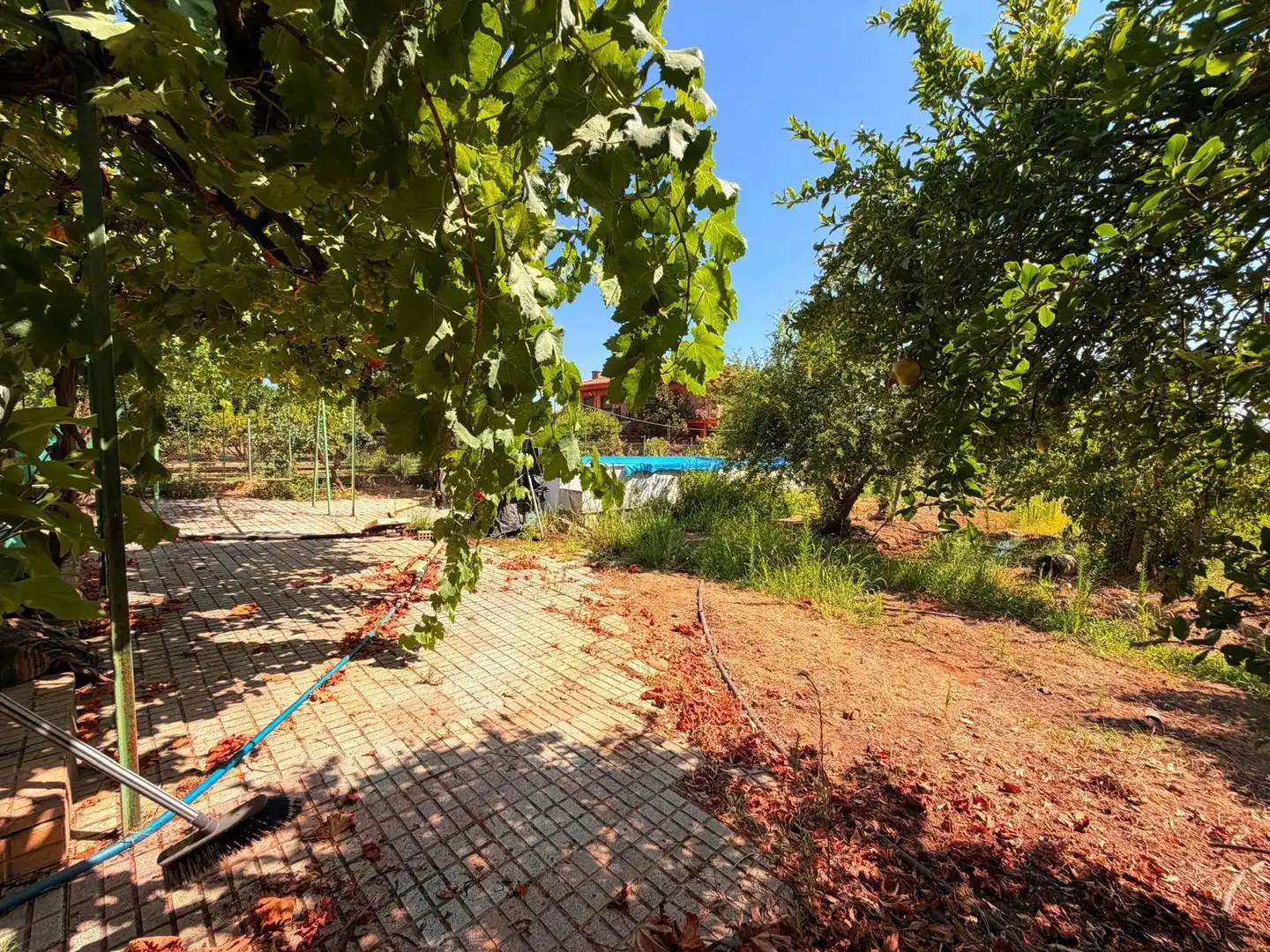 Casa o chalet en venta en Valverde de Mérida con Jardín privado, Terraza y Trastero