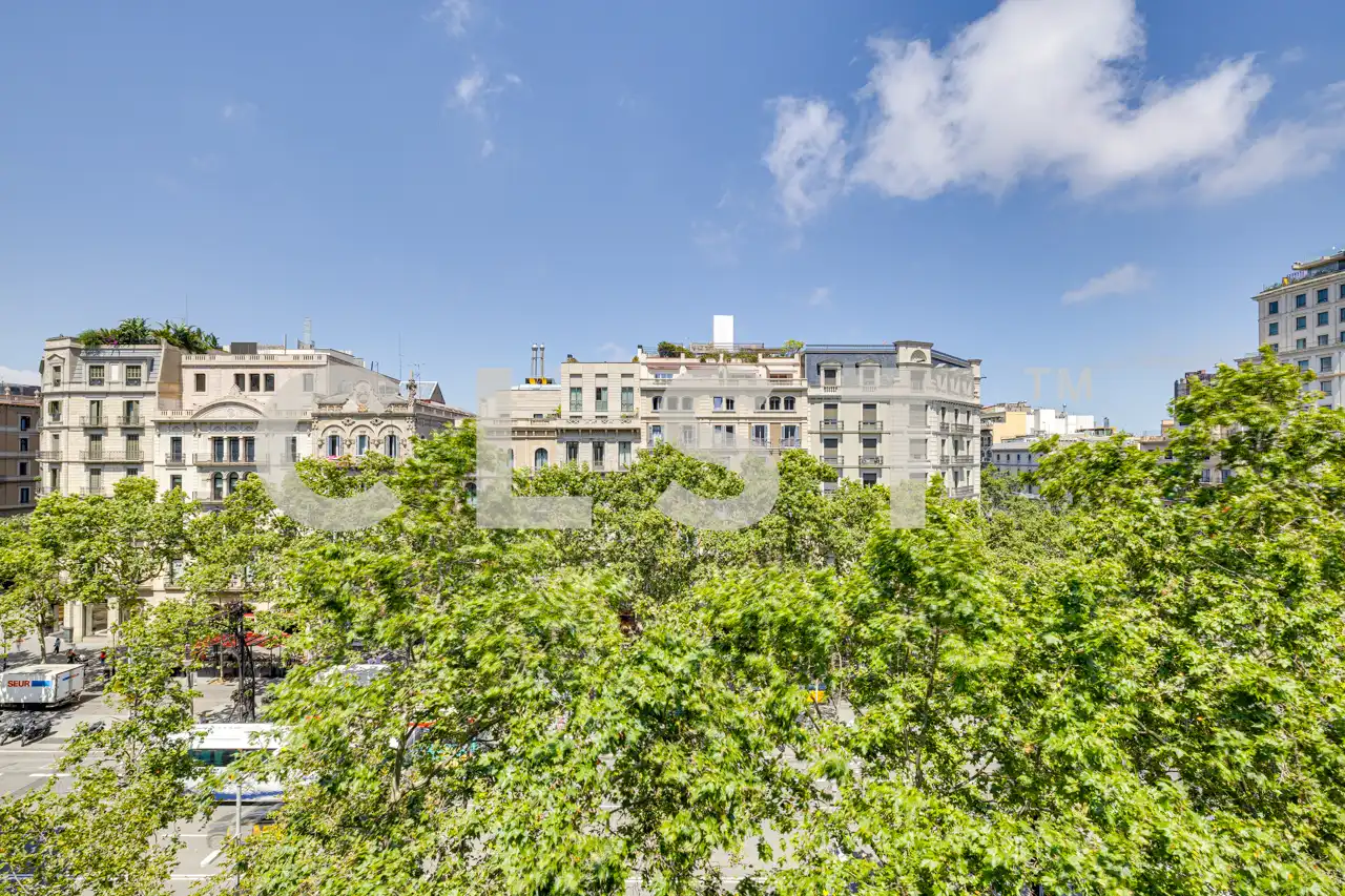 Mini appartamento con terrazza in affitto a Passeig de Gràcia, imagen 46
