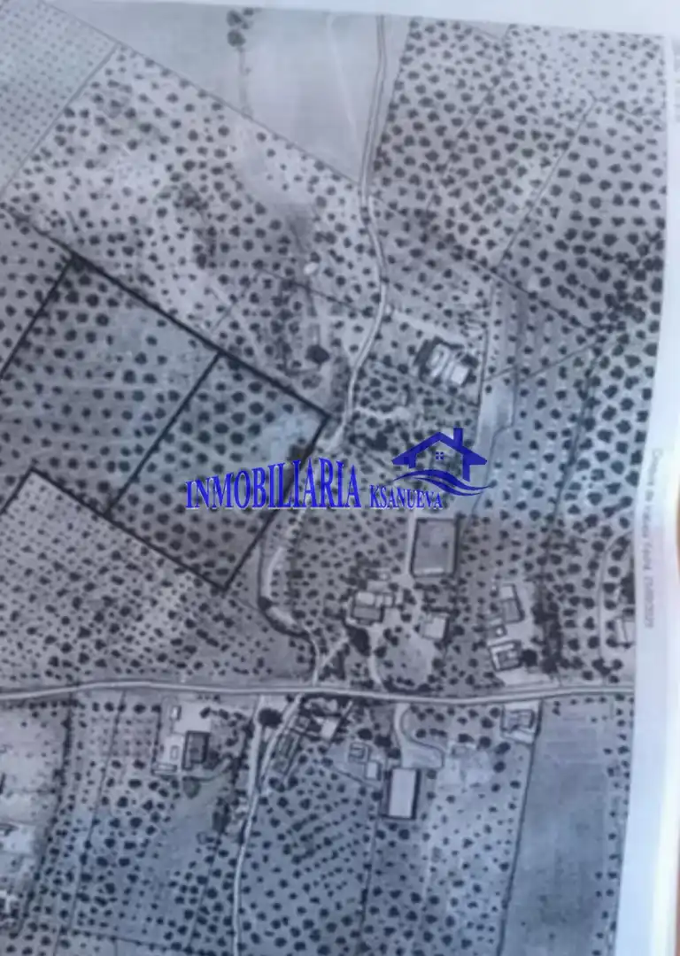 Finca rústica en venta en Lucena