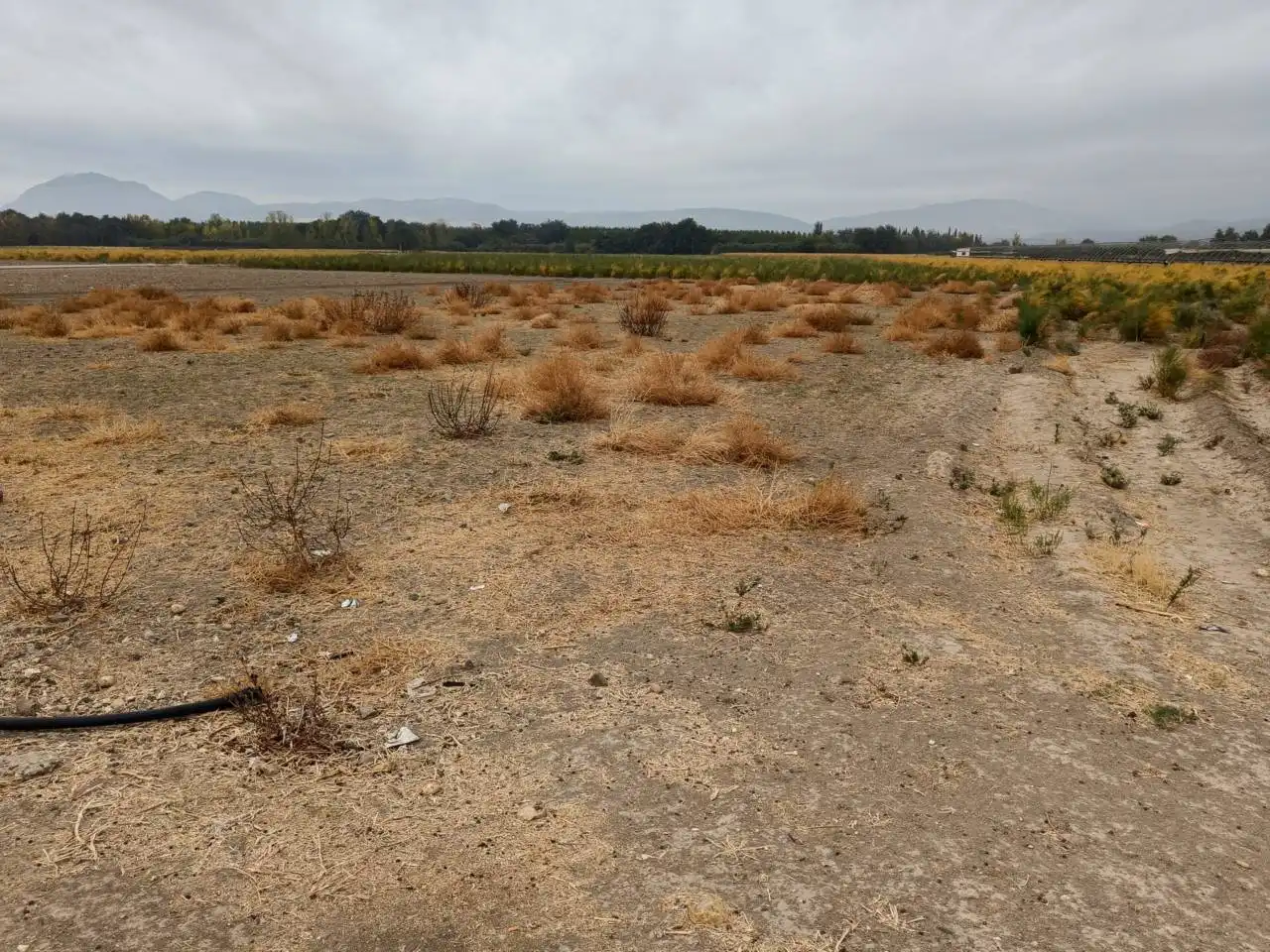 Rural land for sale in Huétor Tájar, imagen 6