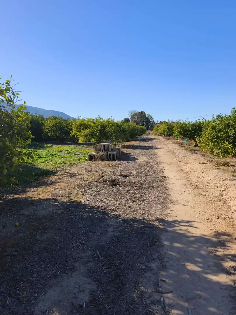 Country homes for sale in Librilla