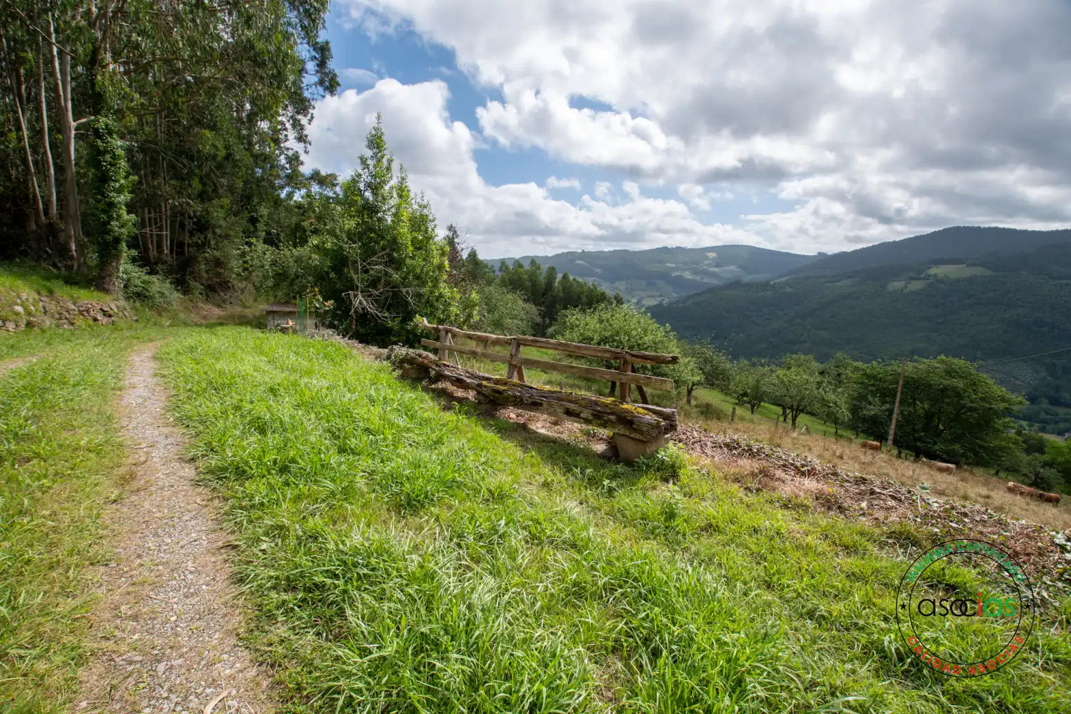 Vista exterior de Casa o xalet en venda en Villaviciosa amb Jardí privat i Traster
