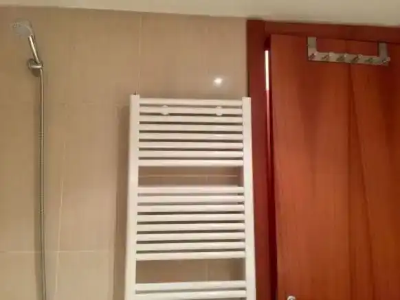Badezimmer von Wohnung zur Miete in Aisa mit Parkett, Abstellraum und Möbliert