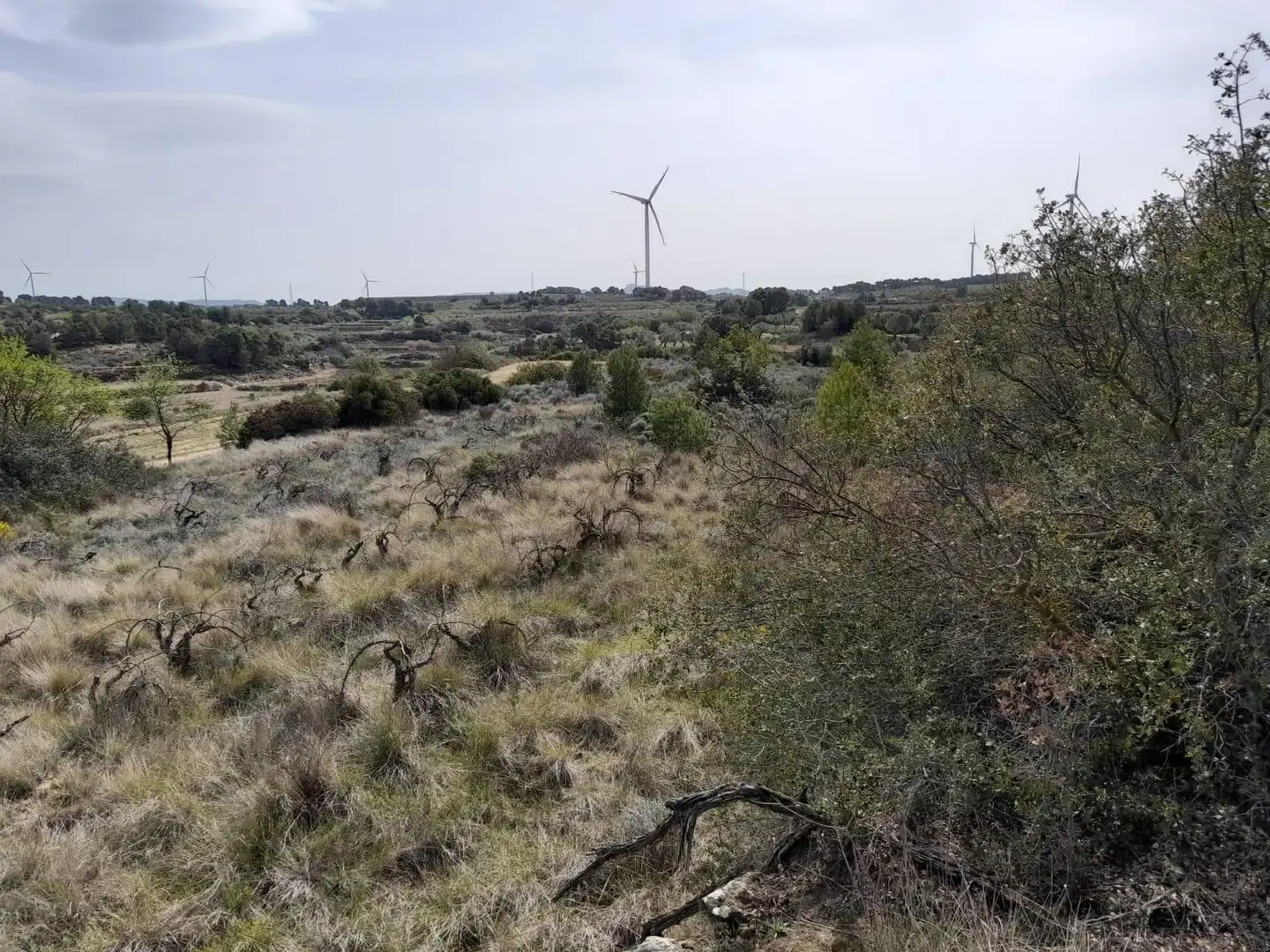 Casa o chalet en venta en Batea con Trastero y Amueblado