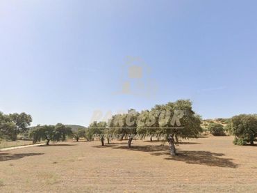 Terreno rustico in vendita a Belmez