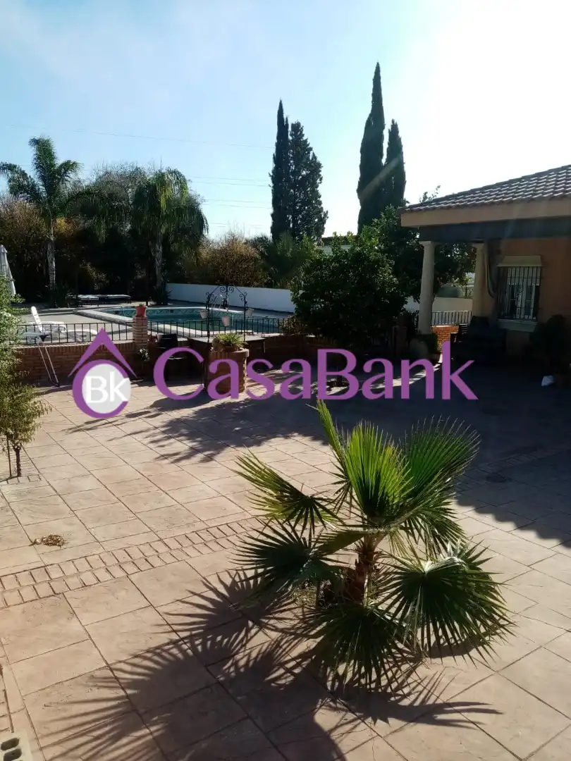 Houses for sale in Alcolea
