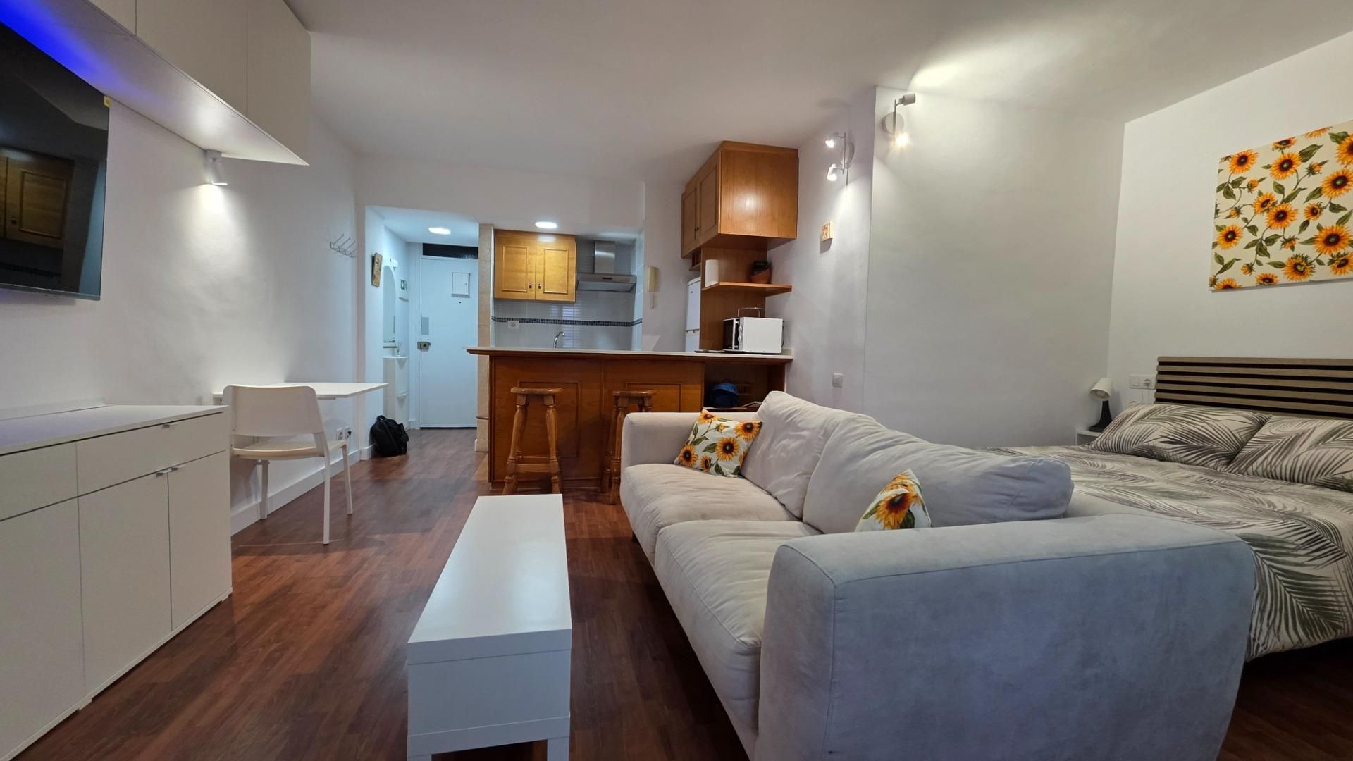 Sala de estar de Estudio en venta en San Cristóbal de la Laguna con Parquet