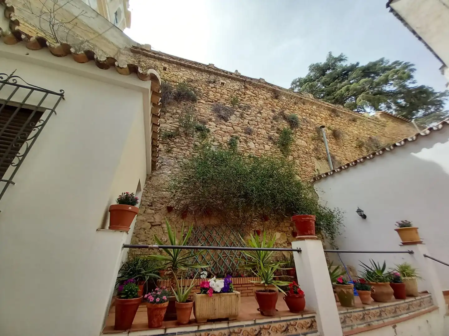 Jardín de Casa o chalet en venta en Ronda con Aire acondicionado, Calefacción y Terraza