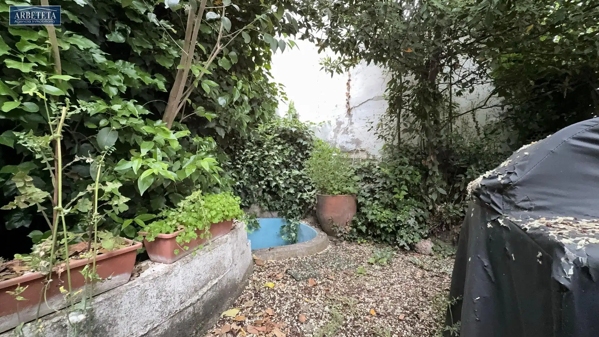 Garden of Country homes for sale in Alcocer  with Private garden and Terrace