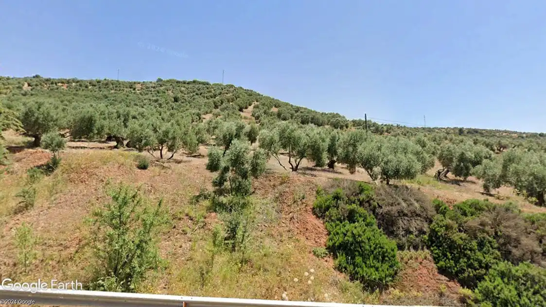 Terreni e lotti in vendita a Navas de San Juan, imagen 2