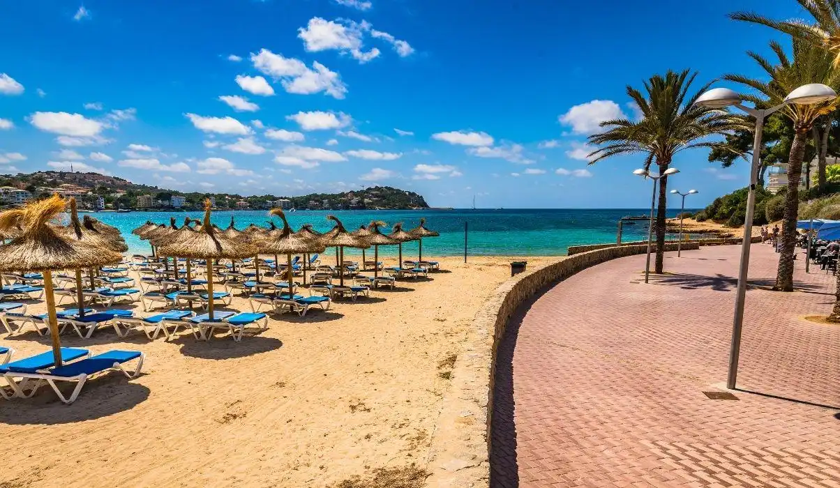 Vista exterior de Ático en venta en Calvià con Aire acondicionado, Terraza y Amueblado