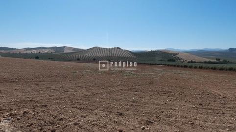 Foto 2 de Terreny industrial en venda a Poligono 44, Centro, Málaga