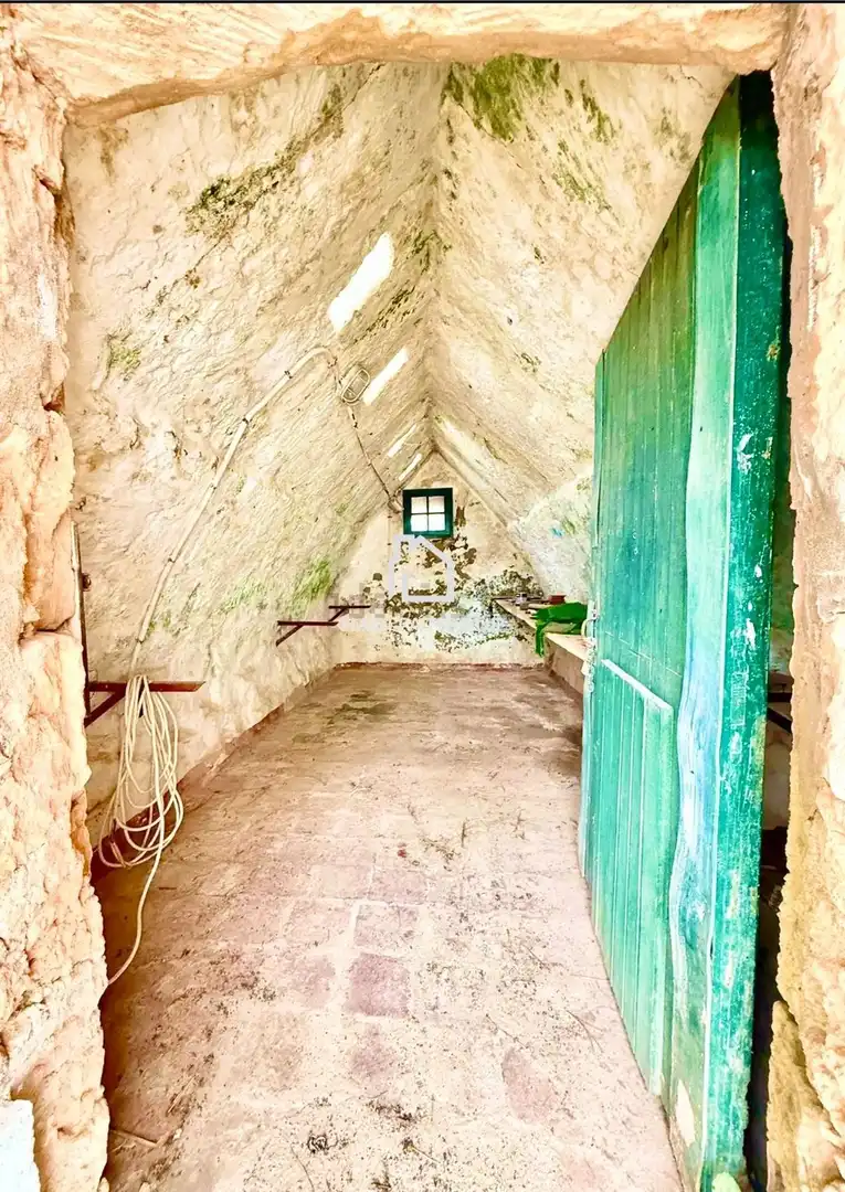 Maison avec jardin à vendre à Cala d'en Bosch - Serpentona, imagen 38