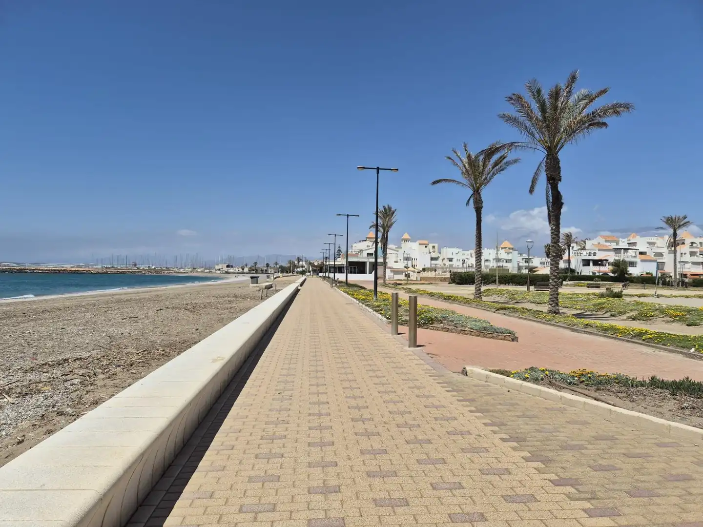Vista exterior de Casa adosada en venta en El Ejido con Aire acondicionado, Jardín privado y Terraza