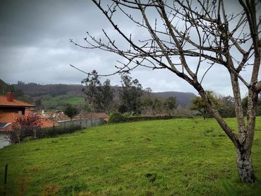 Terreni e lotti in vendita a Posada - Barro