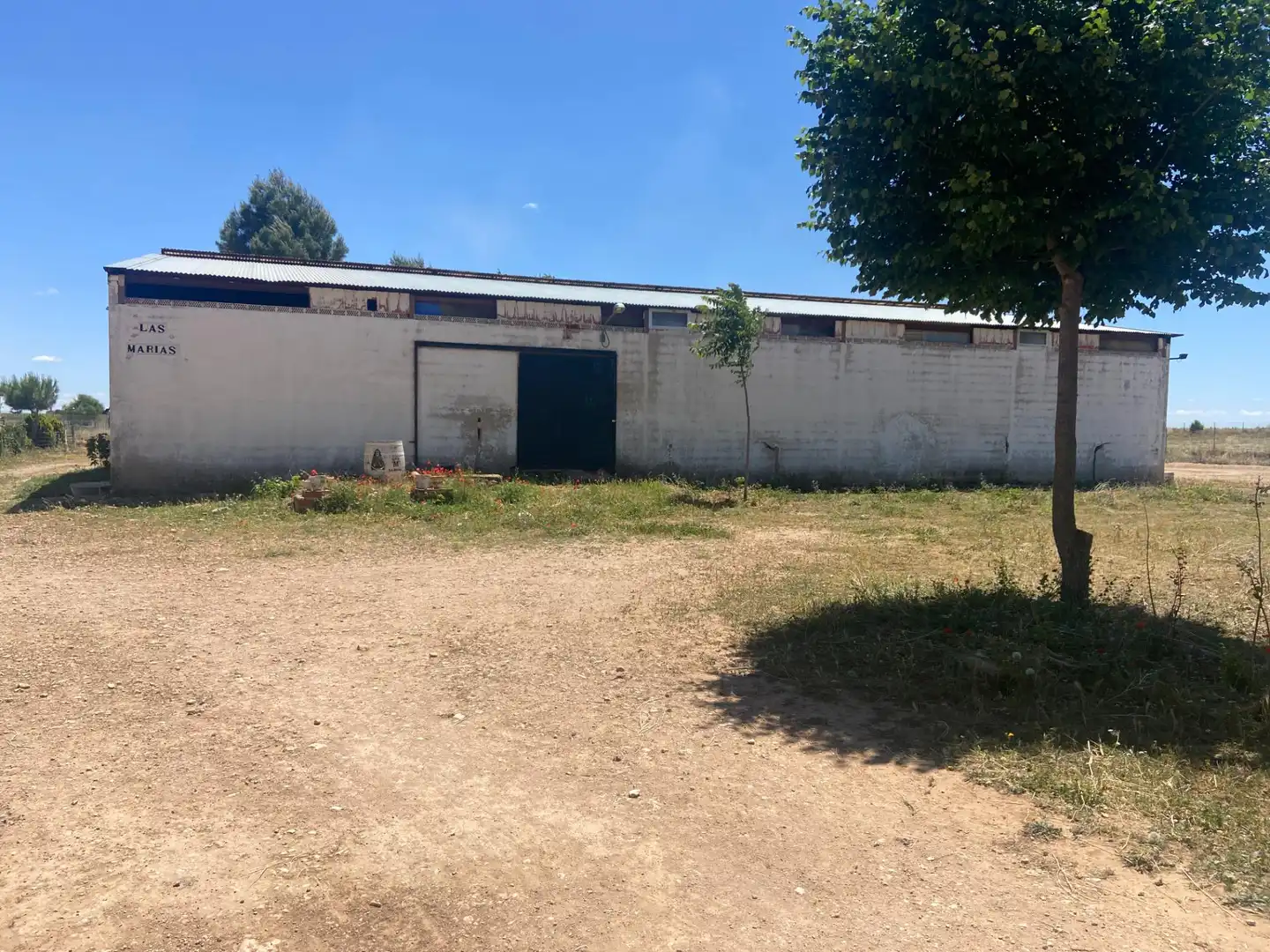 Terreny residencial en venda a Camino Camino de Torralba de Calatrava, imagen 3