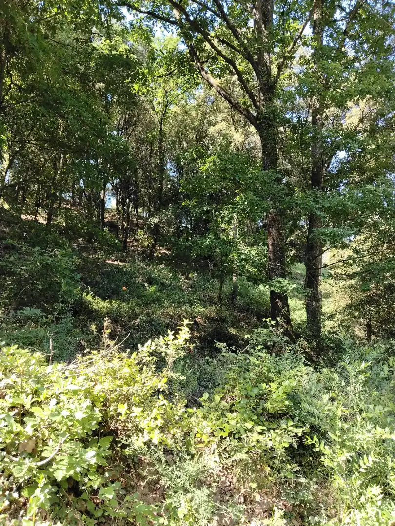 Wohnbaugrundstück zum Verkauf in Urbanització Boscos Montnegre, imagen 4